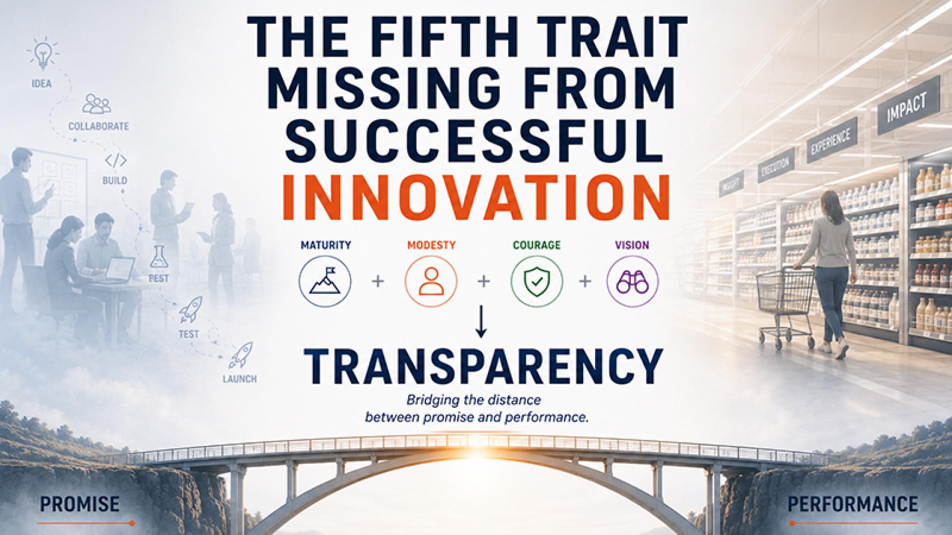 transparency-bridge-header-graphic